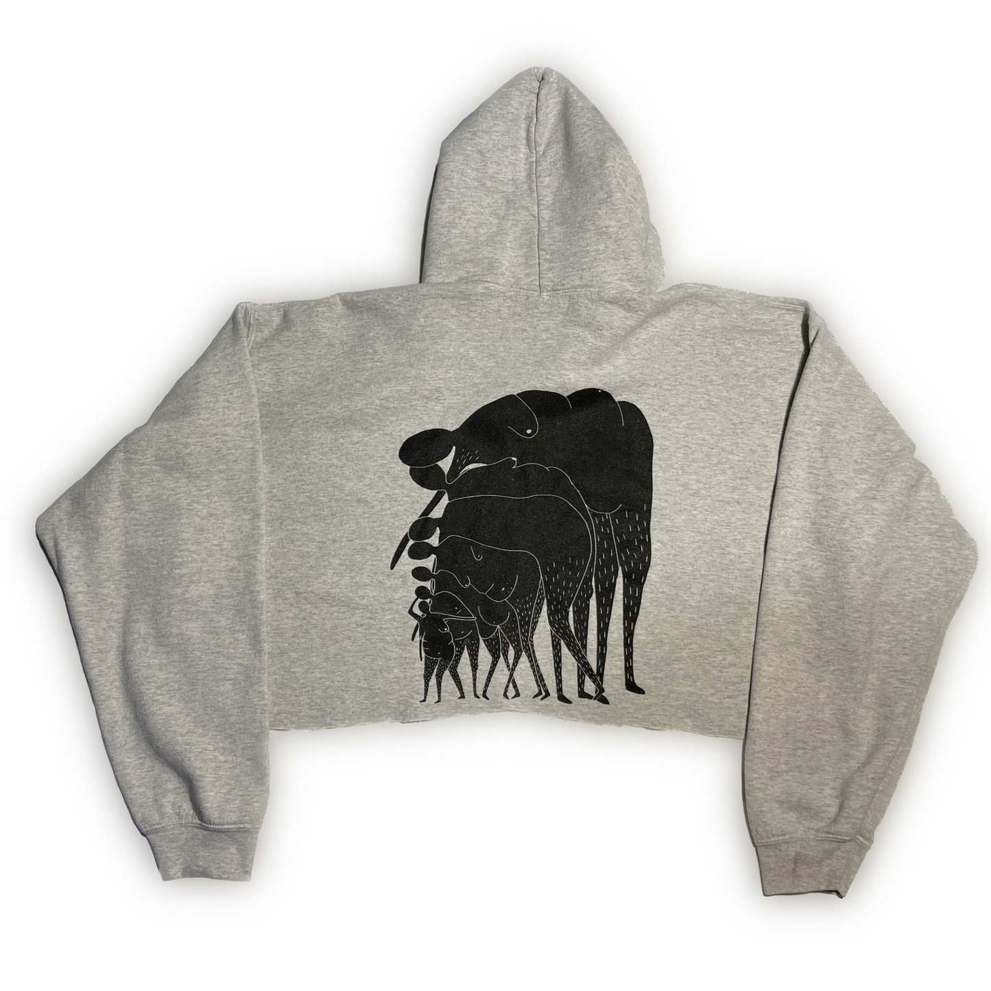 Rani Ban Co Cropped Gray Hoodie